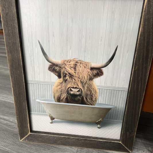 Highland cow in tub frame no bubbles