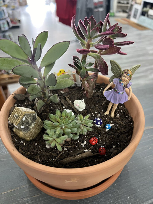 Fairy Garden Class