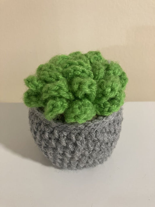 Crochet Succulent Plant